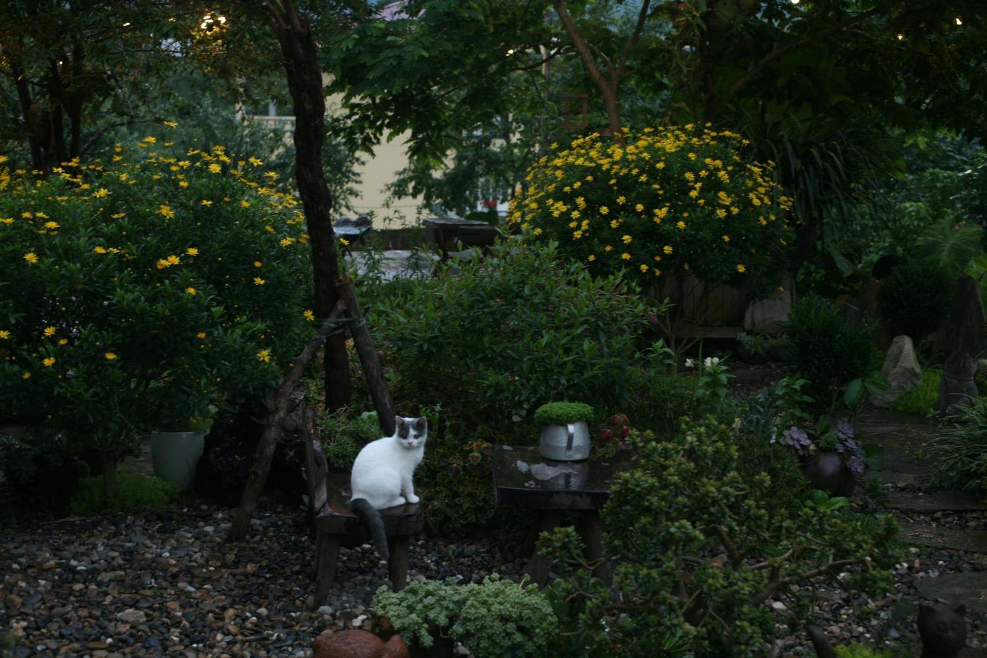 La Maison House & Bungalow ซาปา ภายนอก รูปภาพ